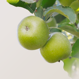 Organic Apples