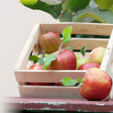 Organic Honeycrisp Apples