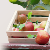 Organic Apples