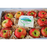 Winning Combination Gift Box (P/U)